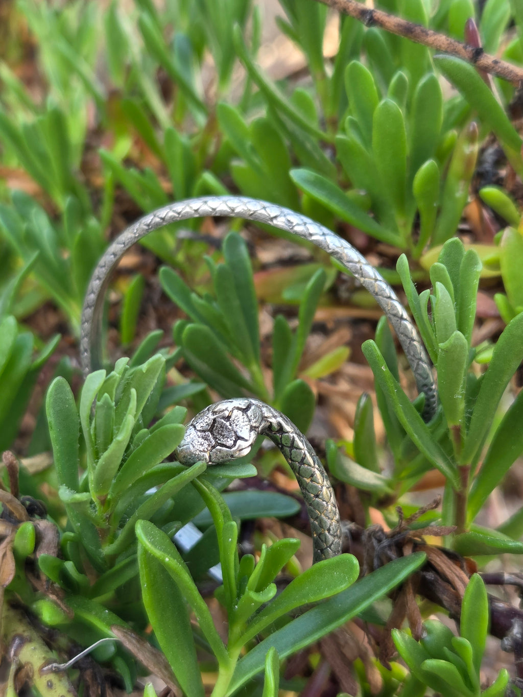 Bracelet Snaky